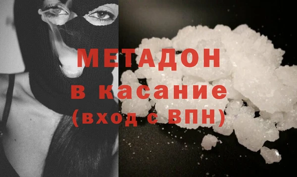 индика Няндома