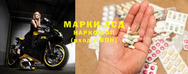 прущие грибы Армянск