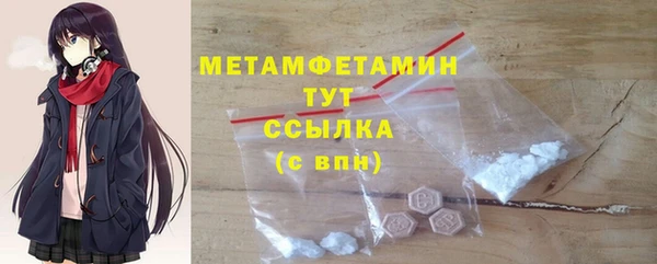 индика Няндома