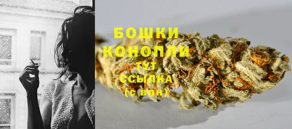 прущие грибы Армянск