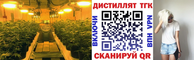 OMG вход  Сорск  ТГК вейп 