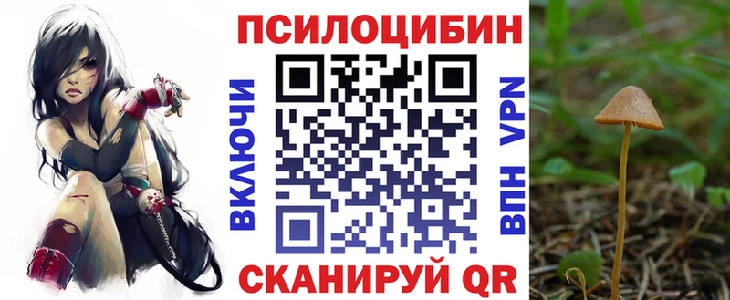 Галлюциногенные грибы Magic Shrooms  Сорск 
